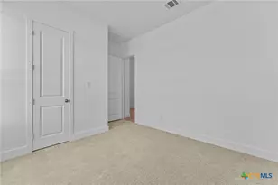 5536 Paschal Pk, New Braunfels, TX 78132 - Photo 5