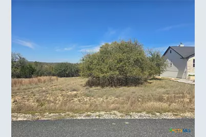 237 Roy Nichols Drive, Blanco, TX 78606 - Photo 1