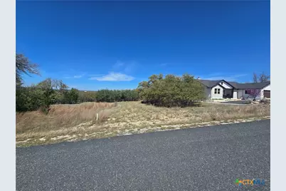 237 Roy Nichols Drive, Blanco, TX 78606 - Photo 3