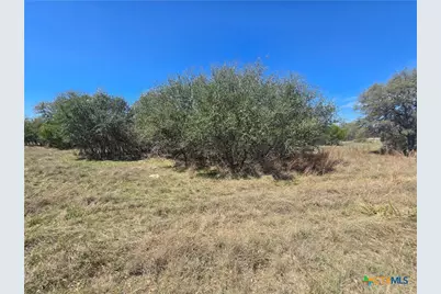 237 Roy Nichols Drive, Blanco, TX 78606 - Photo 5