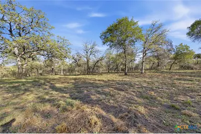 12001 Fm 1117, Seguin, TX 78155 - Photo 23