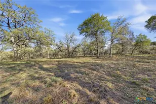 12001 FM1117, Seguin, TX 78155 - Photo 23