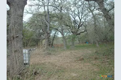 120 Dinks Lane, Seguin, TX 78155 - Photo 1