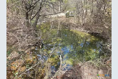 880 County Road 158, Evant, TX 76525 - Photo 5