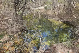 880 Co Rd 158, Evant, TX 76525 - Photo 5