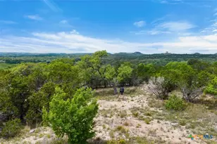 17 September Ridge, Johnson City, TX 78636 - Photo 37