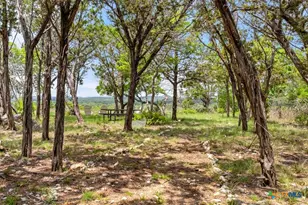 17 September Ridge, Johnson City, TX 78636 - Photo 41