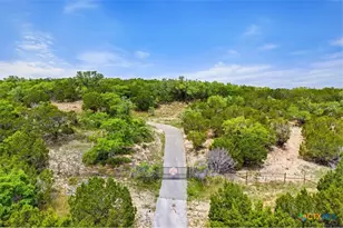 17 September Ridge, Johnson City, TX 78636 - Photo 3