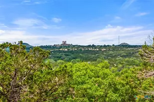 17 September Ridge, Johnson City, TX 78636 - Photo 5