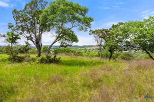 17 September Ridge, Johnson City, TX 78636 - Photo 37