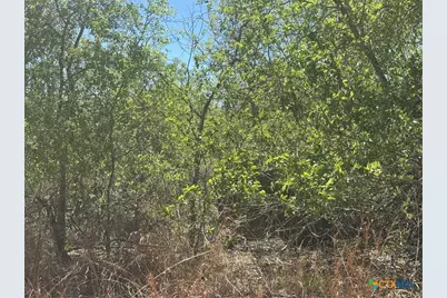 00 Dowdy Road, Kingsbury, TX 78638 - Photo 9