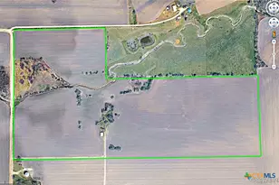 19374 Pennington Branch Rd, Holland, TX 76534 - Photo 3