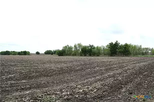 19374 Pennington Branch Rd, Holland, TX 76534 - Photo 23