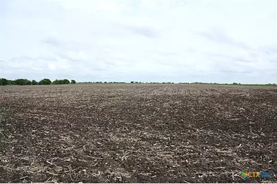 19374 Pennington Branch Road, Holland, TX 76534 - Photo 15