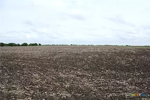 19374 Pennington Branch Rd, Holland, TX 76534 - Photo 15