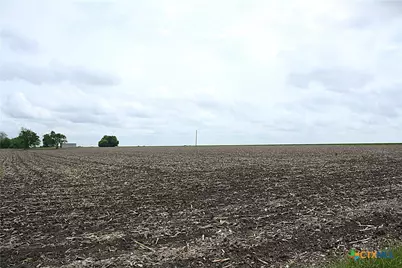 19374 Pennington Branch Road, Holland, TX 76534 - Photo 13