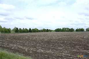 19374 Pennington Branch Rd, Holland, TX 76534 - Photo 11