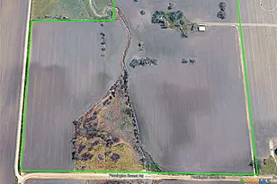 19374 Pennington Branch Rd, Holland, TX 76534 - Photo 5