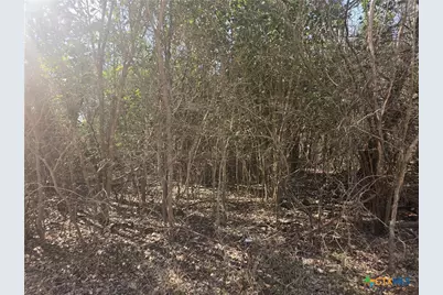 Tbd Estate Trail, Belton, TX 76513 - Photo 3