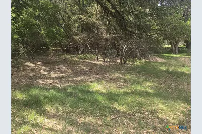 6 Hackberry Court, Belton, TX 76513 - Photo 1