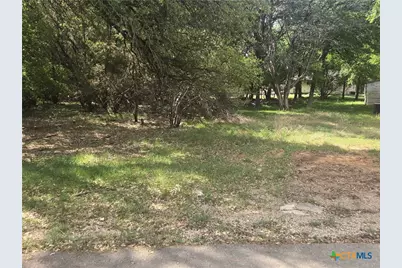 6 Hackberry Court, Belton, TX 76513 - Photo 3