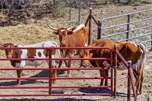 11387 Fm 32, Fischer, TX 78623 - Photo 1