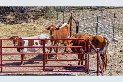 11387 Fm 32, Fischer, TX 78623 - Photo 5