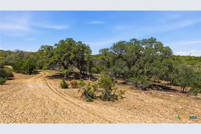 11387 Fm 32, Fischer, TX 78623 - Photo 15