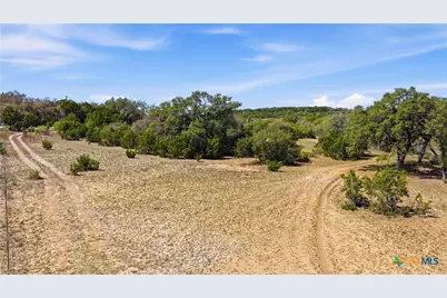 11387 Fm 32, Fischer, TX 78623 - Photo 9