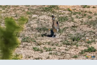 11387 Fm 32, Fischer, TX 78623 - Photo 5