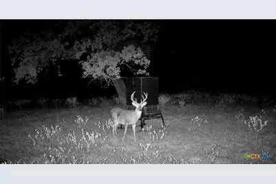 1224 Fm 3432, La Vernia, TX 78121 - Photo 47