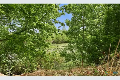 3500 Scull Road, Martindale, TX 78655 - Photo 41