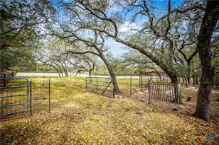 155 Maverick, New Braunfels, TX 78132 - Photo 45