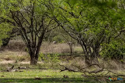 000 Nursery Road, Victoria, TX 77904 - Photo 31