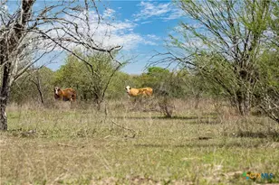 000 Nursery Rd, Victoria, TX 77904 - Photo 13