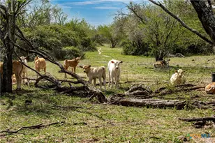 000 Nursery Rd, Victoria, TX 77904 - Photo 11