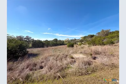 126 Riddle Road, Spring Branch, TX 78070 - Photo 9