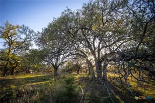 1285 Mission Valley Rd, New Braunfels, TX 78132 - Photo 7