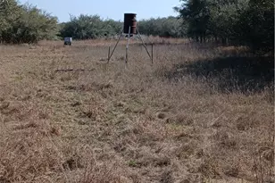 737 Private Rd 1065, Hallettsville, TX 77964 - Photo 5