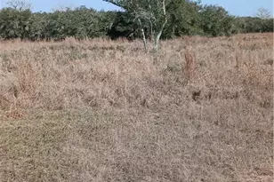 737 Private Rd 1065, Hallettsville, TX 77964 - Photo 11