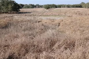 737 Private Rd 1065, Hallettsville, TX 77964 - Photo 3