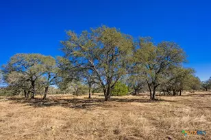 4772-1 County Road 340, Burnet, TX 76905 - Photo 5