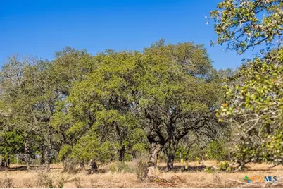 4772-1 County Road 340, Burnet, TX 76905 - Photo 15