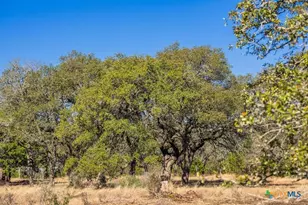 4772-1 County Road 340, Burnet, TX 76905 - Photo 15