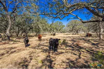4772-1 County Road 340, Burnet, TX 76905 - Photo 7