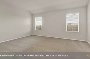 313 Cottonmouth Cove, Seguin, TX 78155 - Photo 19