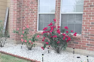 3508 Thunder Creek Dr, Killeen, TX 76549 - Photo 5