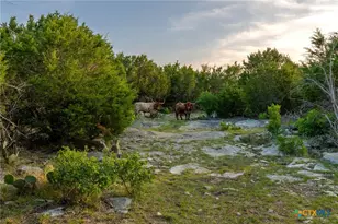 1261 Park Rd, Lampasas, TX 76550 - Photo 35