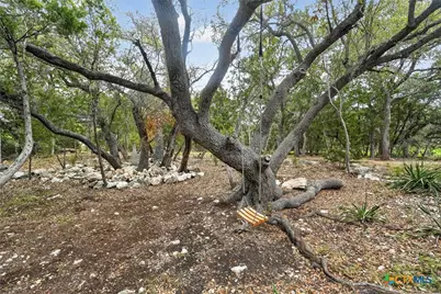 23204 Fossil Peak, San Antonio, TX 78261 - Photo 29