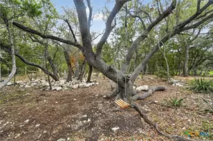 23204 Fossil Peak, San Antonio, TX 78261 - Photo 29